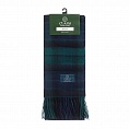 картинка Clans of Scotland Mackay от магазина  Mykilt